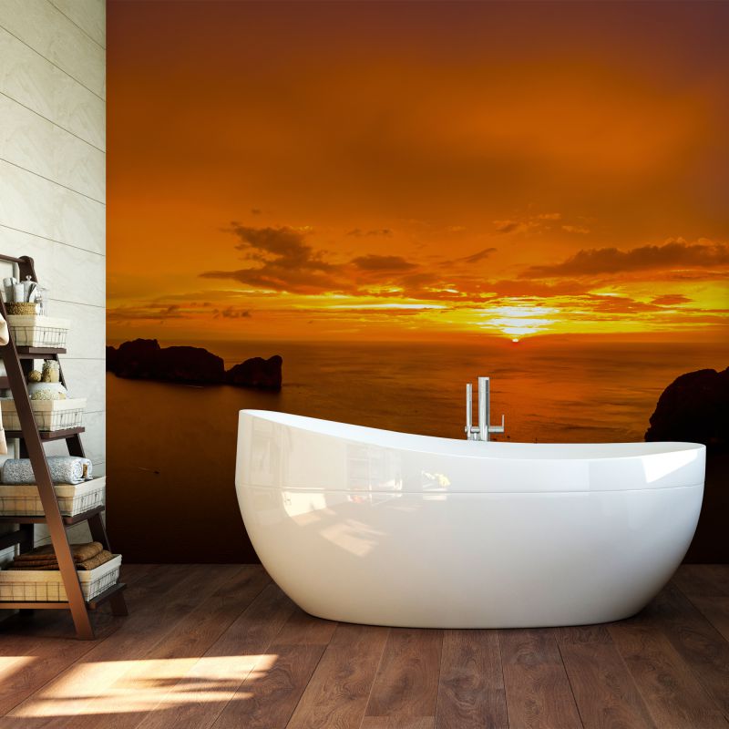 FOTOTAPET_BAIE_SET_INTO_THE_SEA