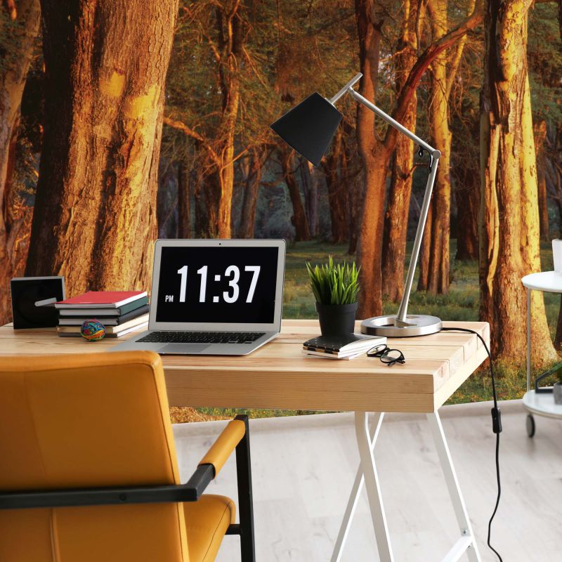 FOTOTAPET_BIROU_BYGONE_TREES