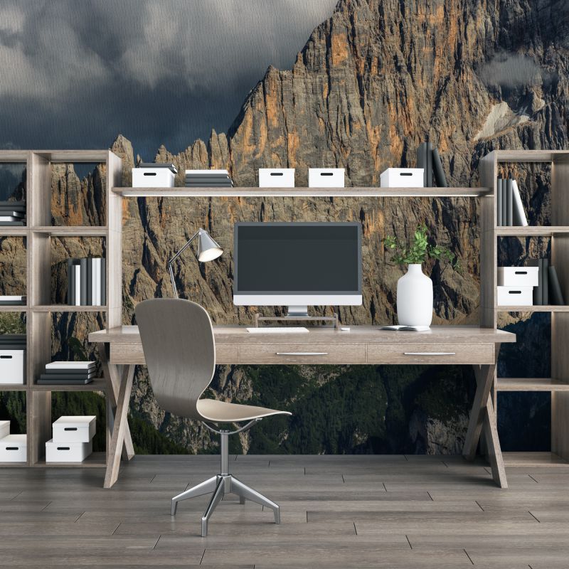 FOTOTAPET_BIROU_TOP_OF_THE_WORLD