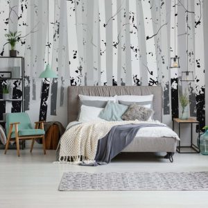 FOTOTAPET_DORMITOR_BIRCHES