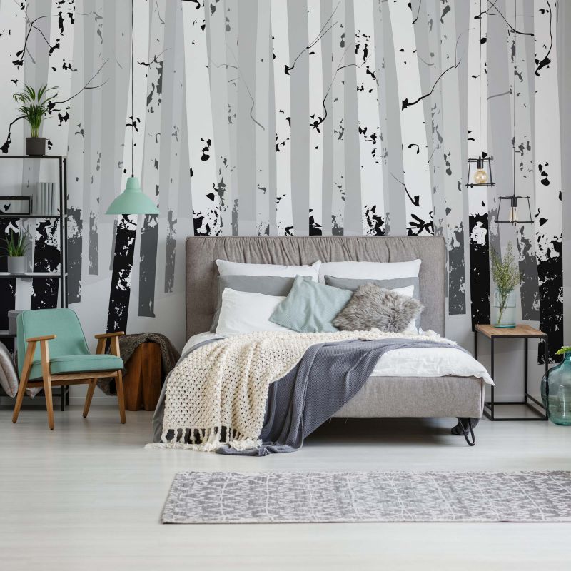 FOTOTAPET_DORMITOR_BIRCHES