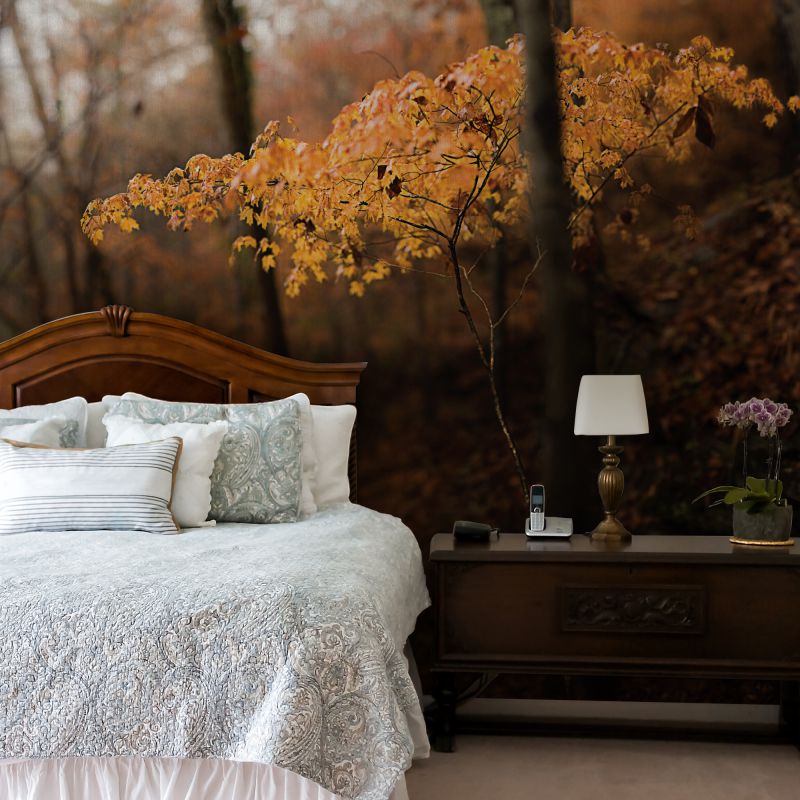 FOTOTAPET_DORMITOR_FALL_FEELING