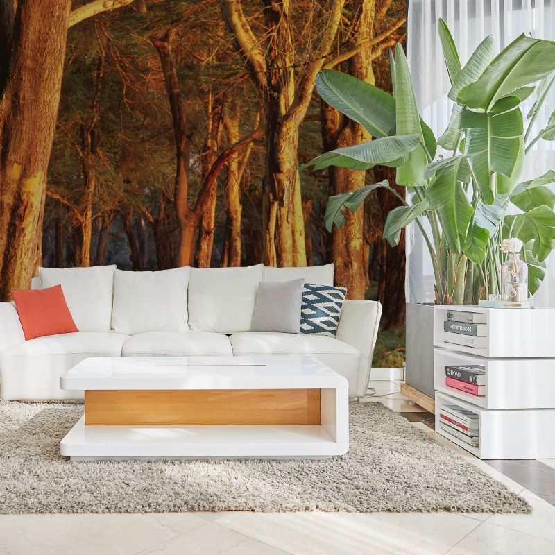 FOTOTAPET_LIVING_BYGONE_TREES