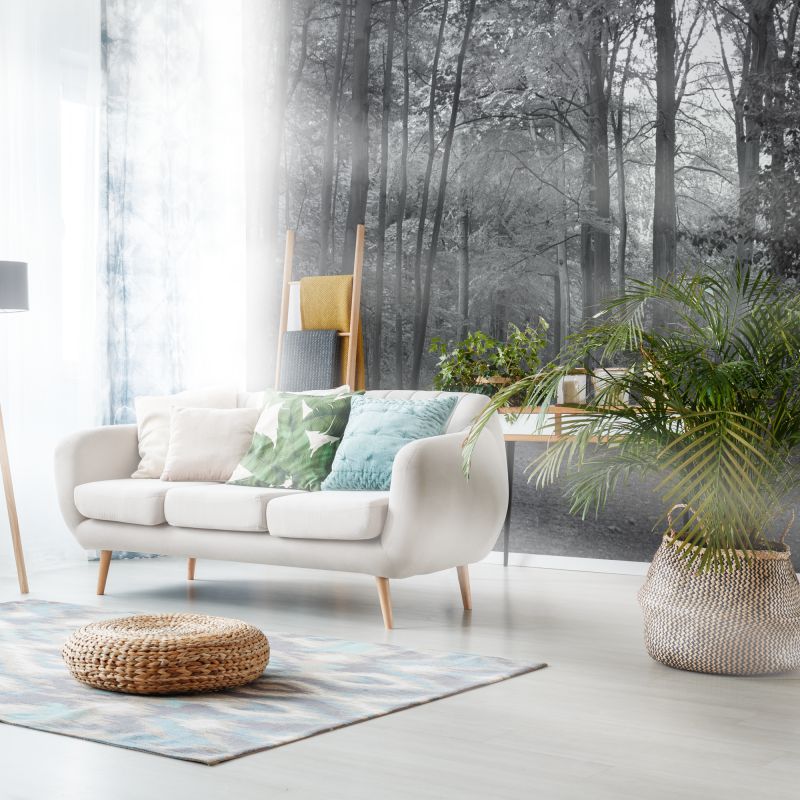 FOTOTAPET_LIVING_GRAY_FOREST