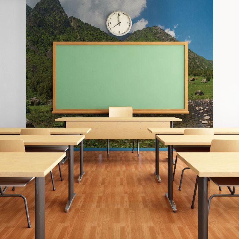 FOTOTAPET_SCOALA_GREEN_VALLEY